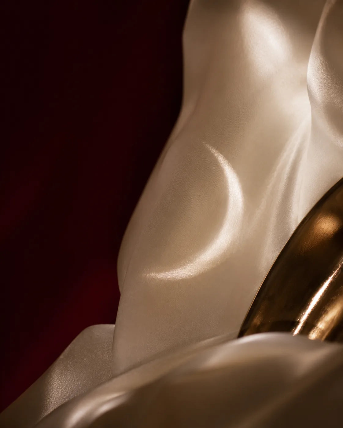 VZYRA ivory silk and oxblood brand composition