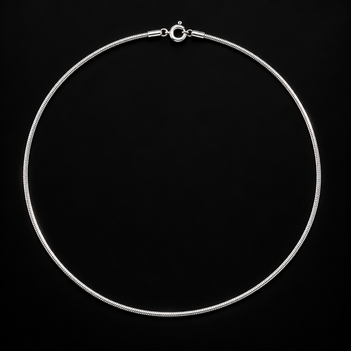 Silver Men’s Snake Chain
