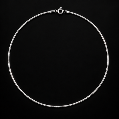 Silver Men’s Snake Chain